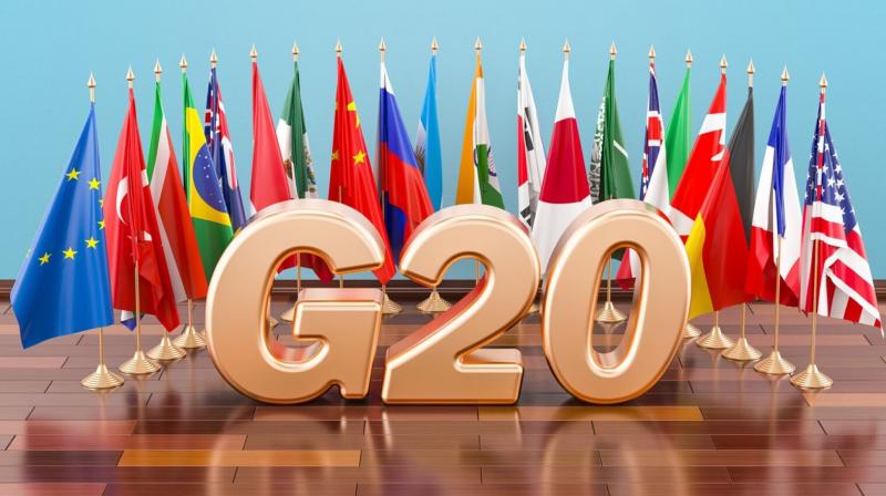 G20; Second meeting of G-20 Development Working Group concluded