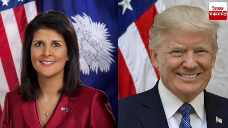 US presidency news Trump ahead in presidential race, Nikki Haley lagging behind