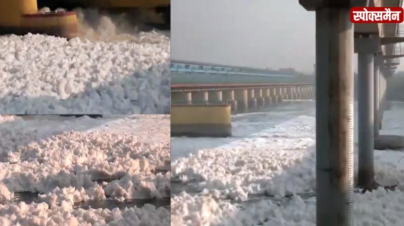 Poisonous foam in Yamuna river, is it safe Chhath festival? News in hindi