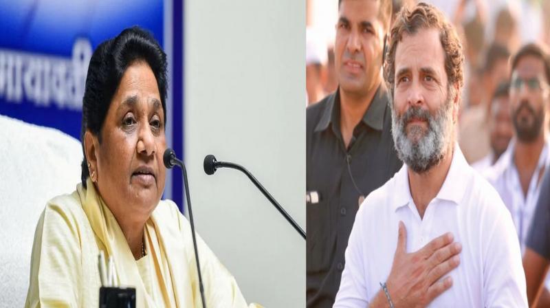 Mayawati thanks Rahul for inviting her to 'Bharat Jodo Yatra'