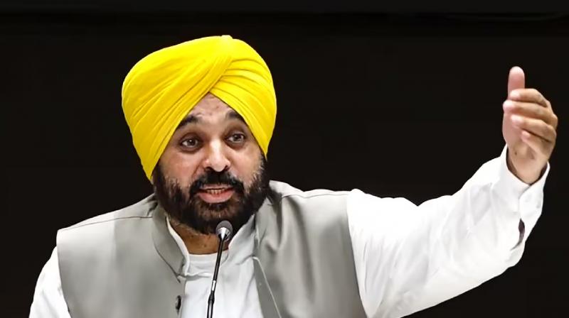 CM Bhagwant Mann Direct Warning to Tehsildars News In Hindi