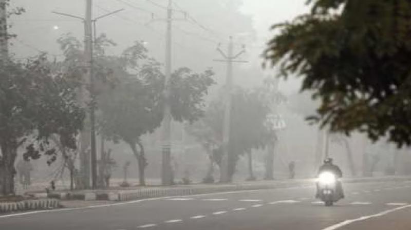 Chandigarh Weather update, fog in the morning news in hindi