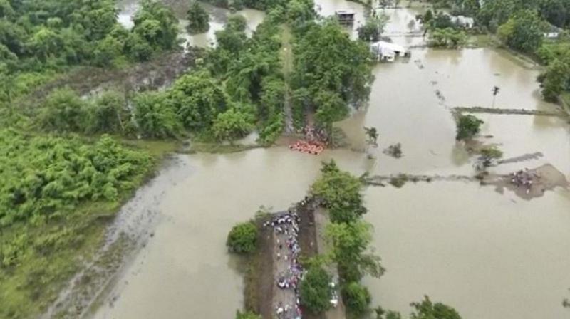 Assam Flood News