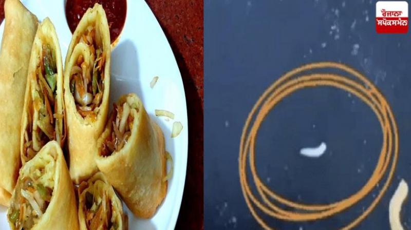 Fast food eaters beware, live worm emerges from spring roll news in hindi