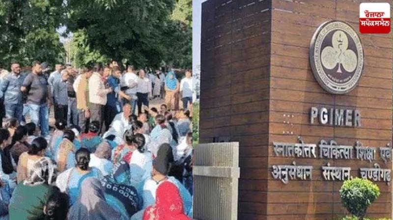 Contract employees on strike in PGI, warning of strike till demands are met news in hindi