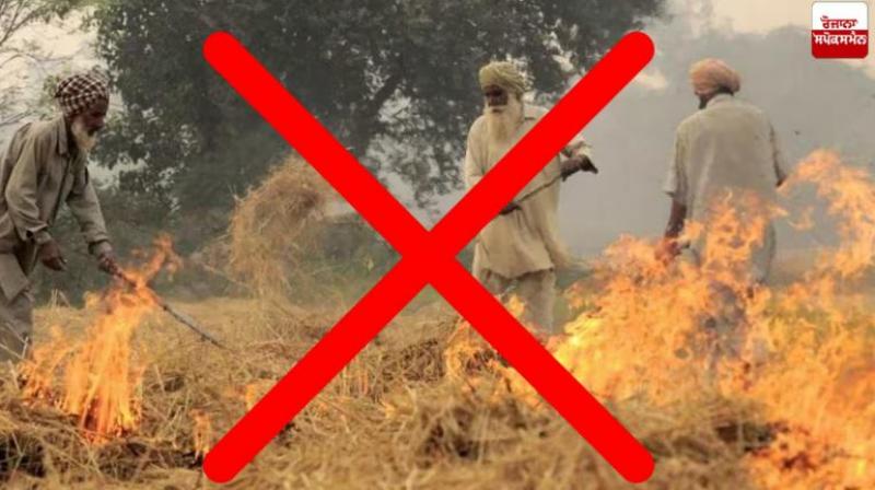 Haryana News: This time stubble will not be burnt in Haryana, government has made concrete arrangements.