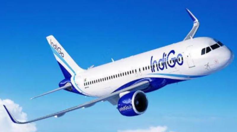 Indigo canceled about 200 flights news in hindi