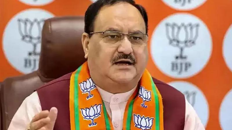 BJP President JP Nadda got big responsibility Rajya Sabha news in hindi