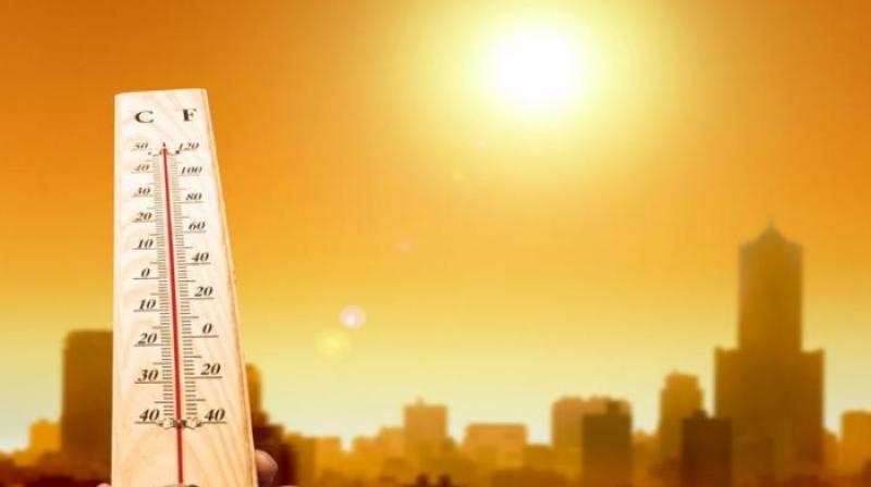 Heat once again wreaks havoc in Punjab news in hindi