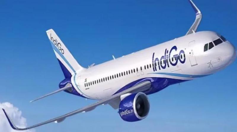 Indigo starts daily flights from Chennai to Jaffna, Sri Lanka news in hindi