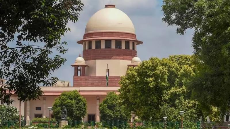 Kolkata Doctor Rape-Murder Case Supreme Court Hearing SC questions Bengal Police And Government