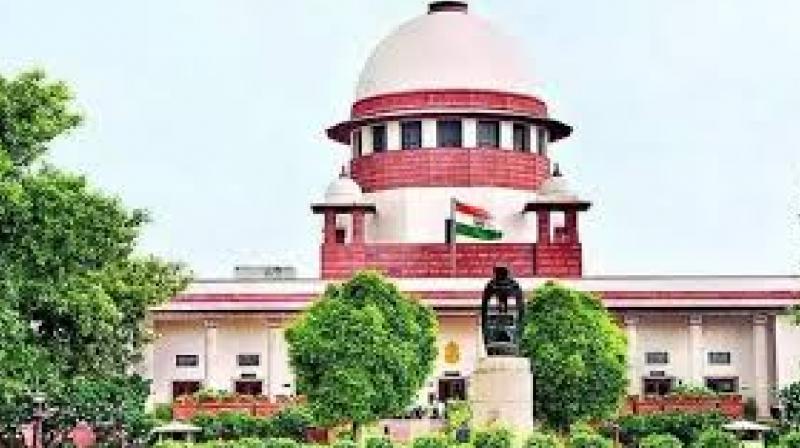 Supreme Court refuses interfere in Punjab Panchayat elections News In Hindi