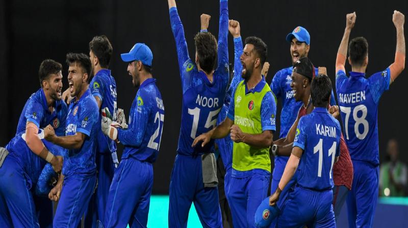 Afghanistan reaches semi-finals of T20 World Cup News in hindi