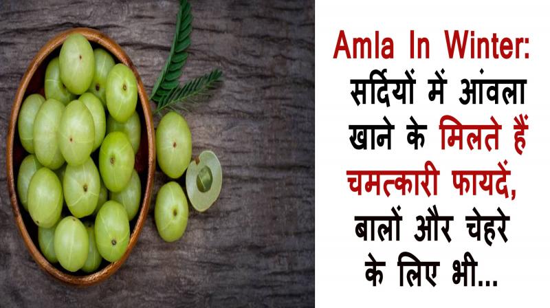  benefits of eating Amla In Winter