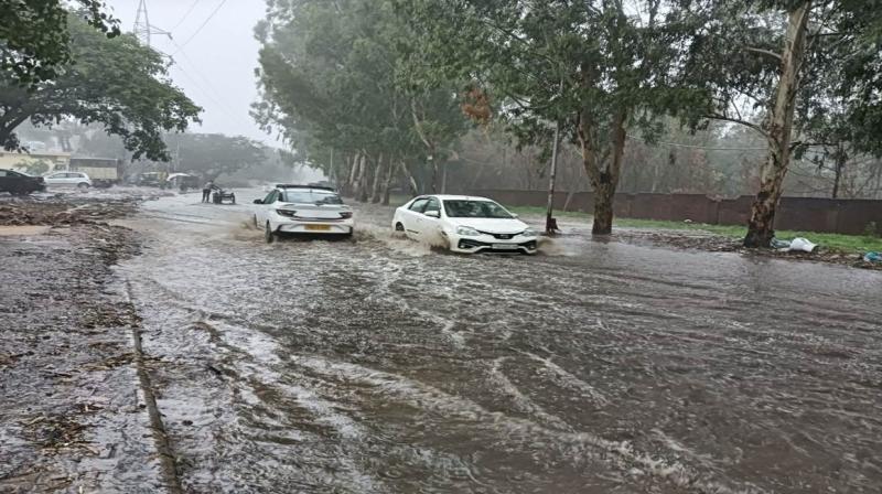 Monsoon becomes active in Punjab, relief from heat during rains news in hindi