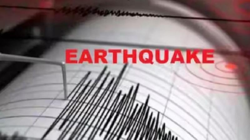 Earthquake tremors felt in the Kermadec Islands region News in hindi