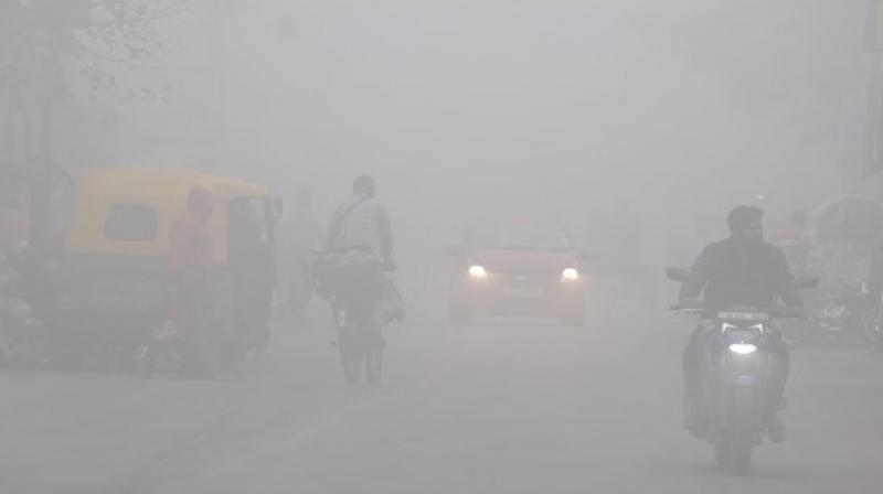 Punjab Weather Update Fog Today News In Hindi