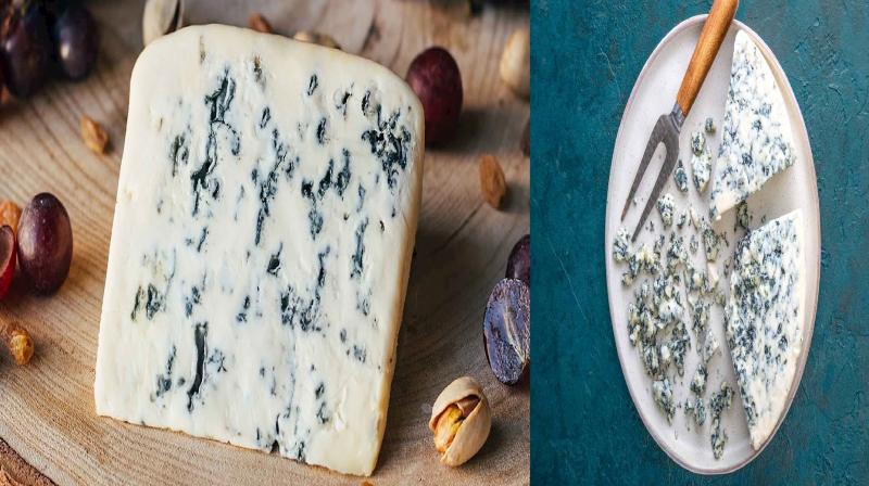 Blue cheese keeps digestion healthy news in hindi