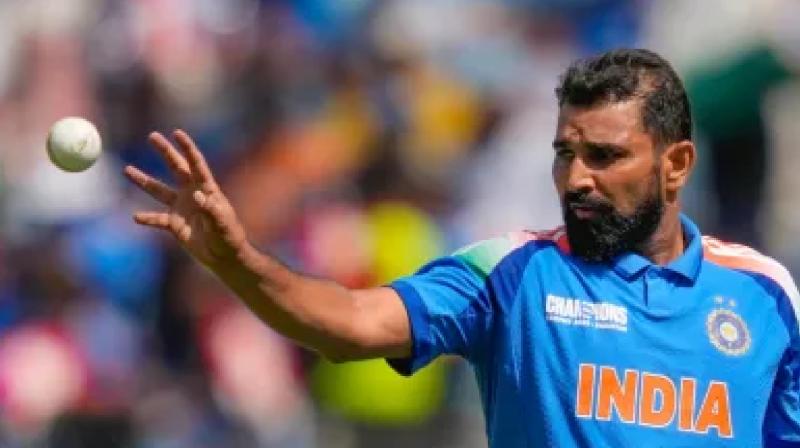 Mohammed Shami to ICC Give permission to use saliva on ball News In Hindi