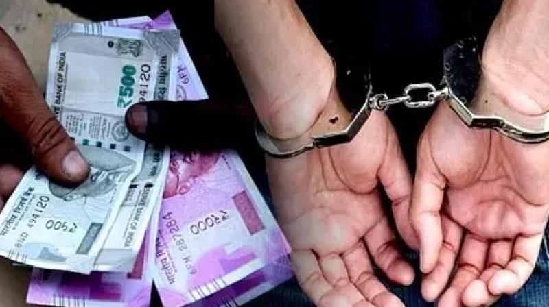 Agriculture department employee arrested for demanding bribe in Thane