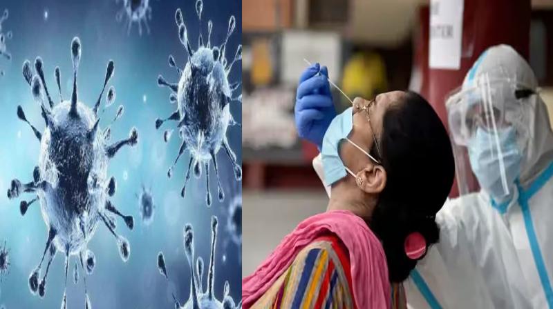 India records 102 new cases of COVID-19