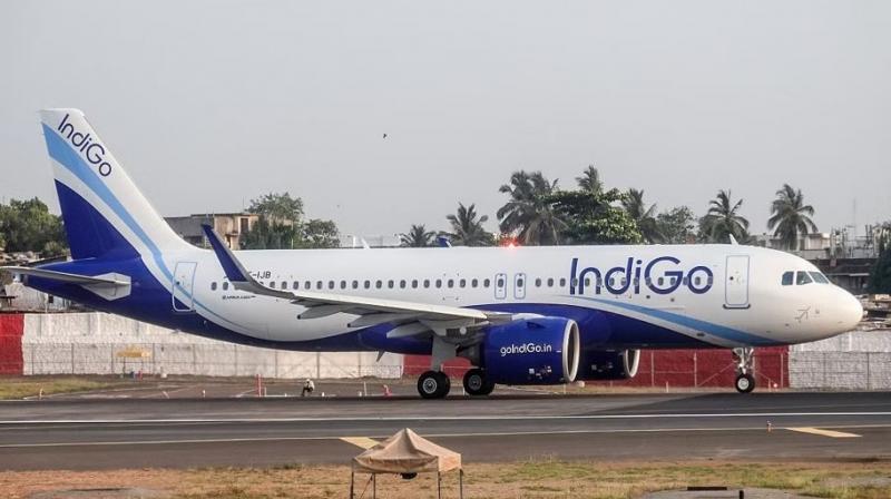 Indigo March quarter net profit at Rs 919.2 crore