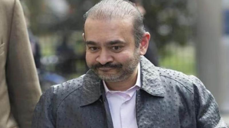 Fugitive Nirav Modi sent to private jail in London