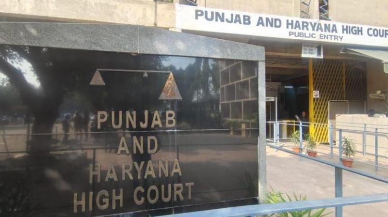 Punjab-Haryana High Court allows abortion to a girl who is more than 12 weeks pregnant in hindi