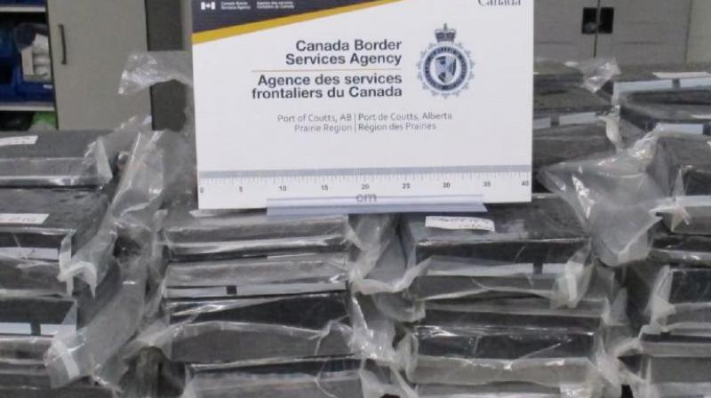 Canada 108 kg Cocaine Seized Punjabi youth arrested News In Hindi