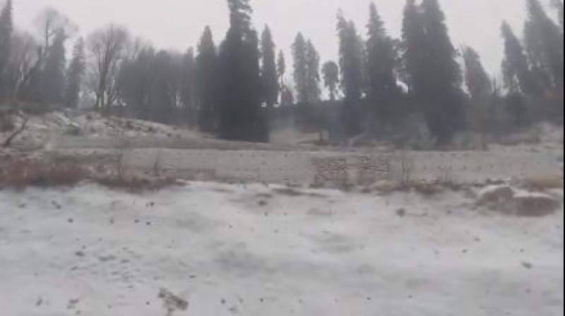 Himachal Pradesh News: Light snowfall in the upper areas of the state