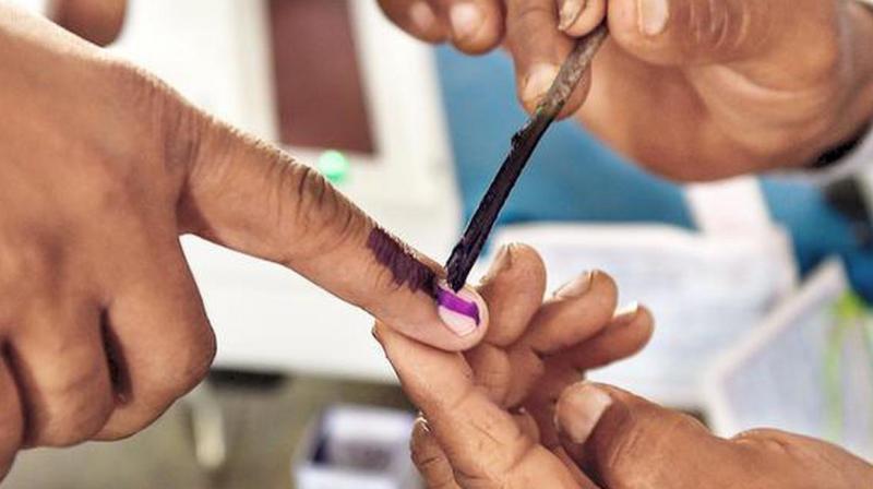 Voting continues for Palakkad Kerala assembly byelection News In Hindi