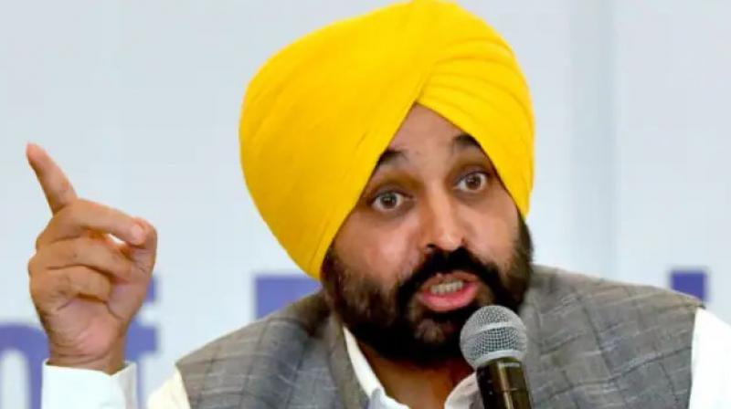 Power purchase agreements of previous government in Punjab to be reviewed: Bhagwant Mann