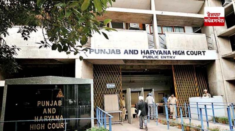 Punjab Haryana High Court lack FCI warehouses in Punjab paddy storage