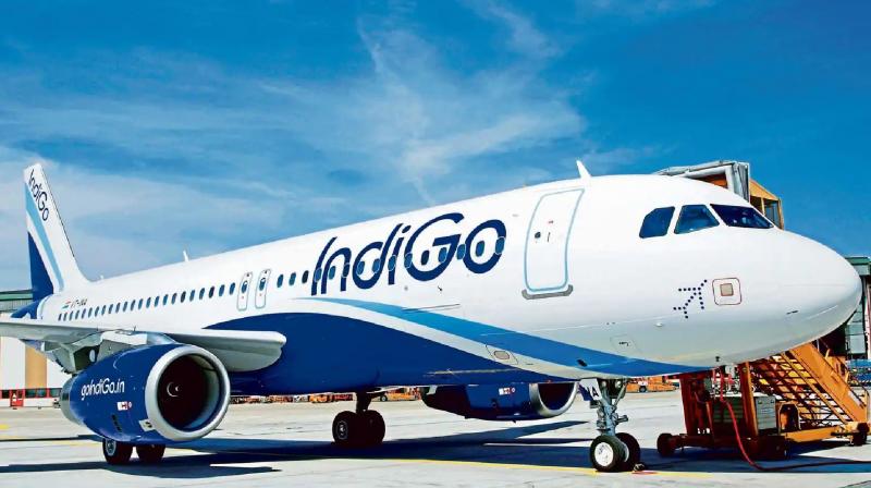 Emergency landing of Indigo flight in Chandigarh news in hindi