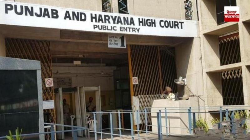 Punjab and Haryana HC Punjab Government vip number News In Hindi