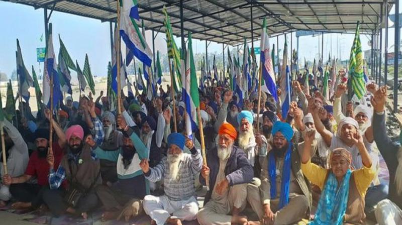 Farmer Protest Shambhu Khanauri Border SKM Unity Meeting News In Hindi