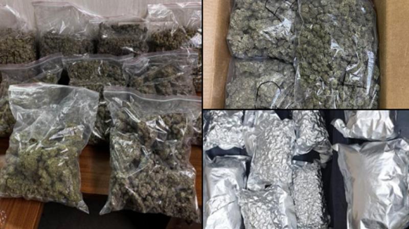 Custom department arrested one with  5.34  kg ganja at Mumbai International Airport news in hindi