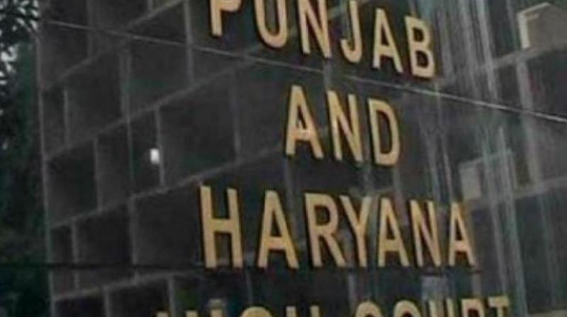 Punjab Haryana High Court News In Hindi