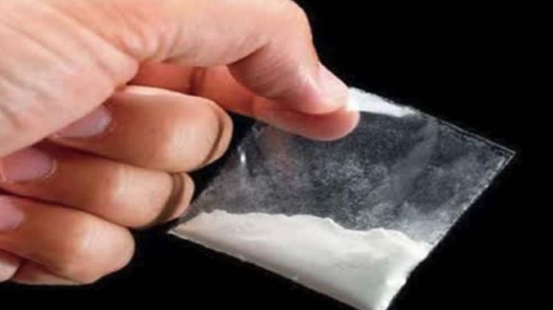 Bihar DRI seizes cocaine worth Rs 42crore in Muzaffarpur News In Hindi(प्रतीकात्मक तस्वीर)