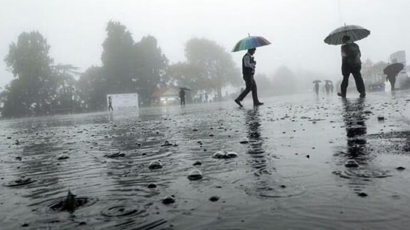 Rain warning for next five days in punjab