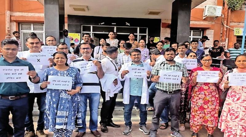 Haryana government doctors on strike news in hindi