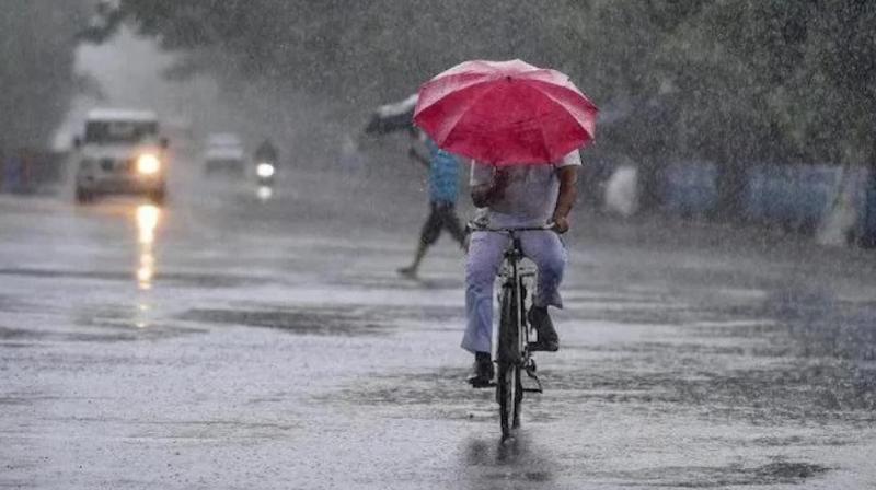 Gujarat Weather Clouds are raining in many areas of the state heavy rain tomorrow also, know forecast for next two days