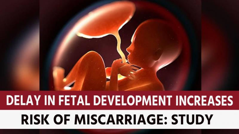 Delay in fetal development increases risk of miscarriage: study