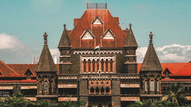 Cruelty to stray dogs not acceptable: Bombay High Court