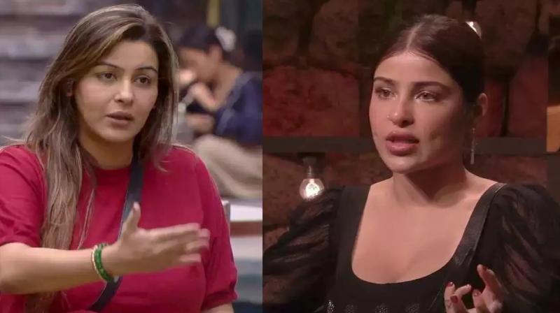 Bigg Boss 18 Wild Cards reunion news in hindi