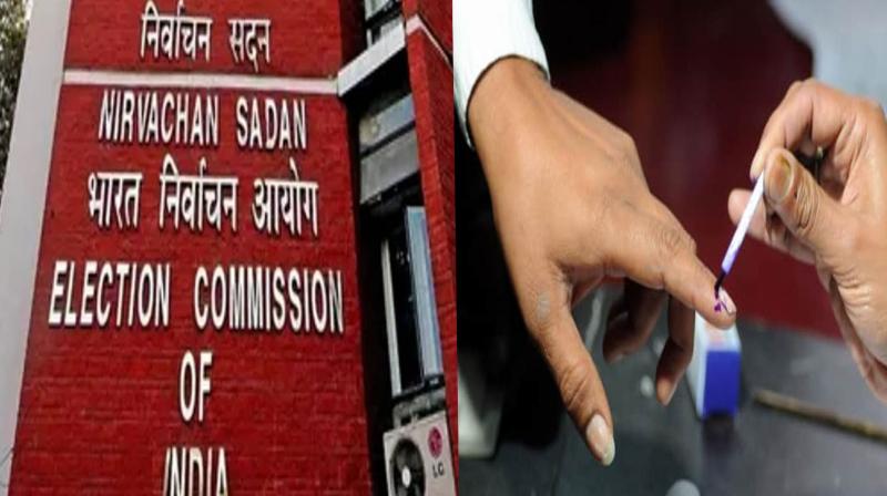 Election Commission prepares an initial model for 'remote voting'