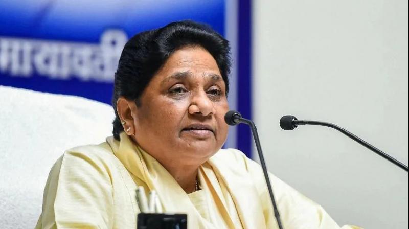 Dalits and backward people should beware of Congress, BJP and SP: Mayawati