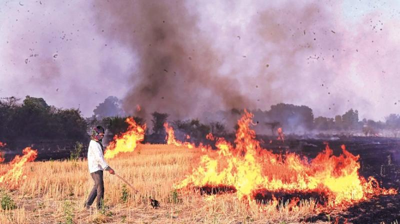 No good for those who burn stubble, Punjab latest news in hindi