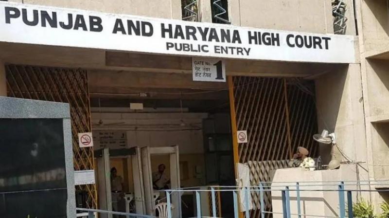 High Court imposed a fine of Rs 10 lakh on B.Ed College news in hindi