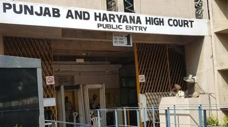 High Court reprimands the government on the shortcomings of forensic investigation news in hindi